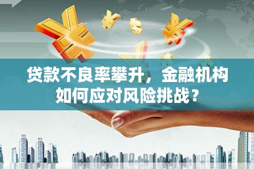 银海贷款不良率攀升，金融机构如何应对风险挑战？