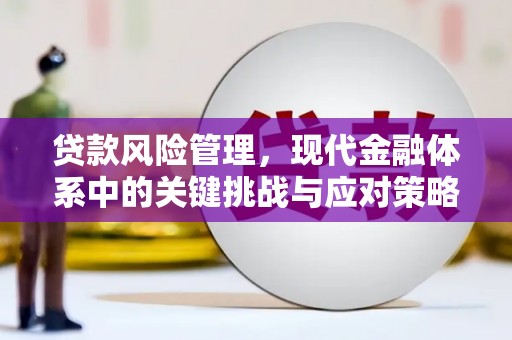 银海贷款风险管理，现代金融体系中的关键挑战与应对策略