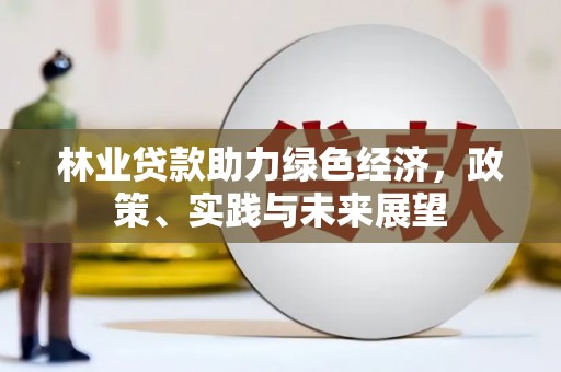 银海林业贷款助力绿色经济，政策、实践与未来展望