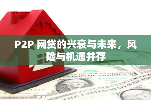 银海P2P 网贷的兴衰与未来，风险与机遇并存