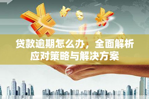 银海贷款逾期怎么办，全面解析应对策略与解决方案