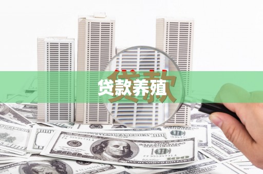 银海贷款养殖