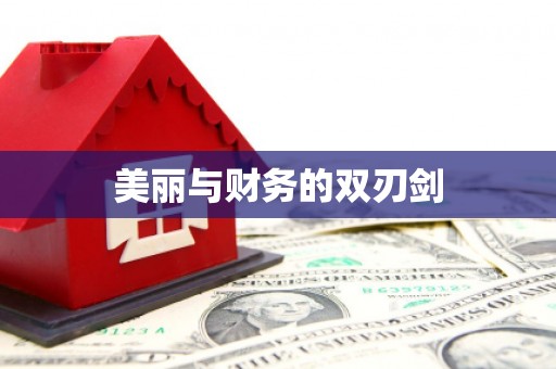 银海美丽与财务的双刃剑