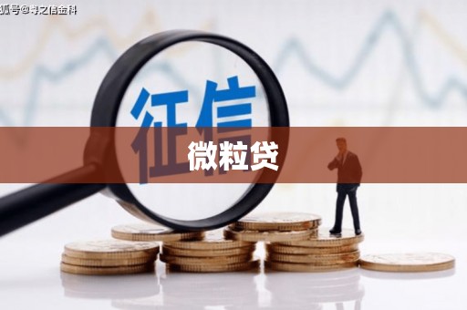 银海微粒贷