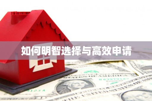 银海如何明智选择与高效申请