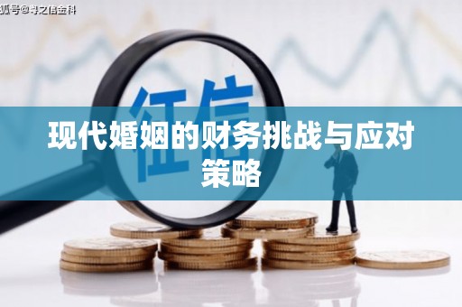 银海现代婚姻的财务挑战与应对策略