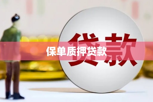 银海保单质押贷款