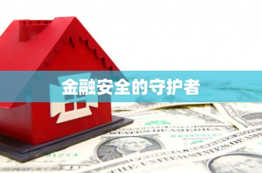 银海金融安全的守护者