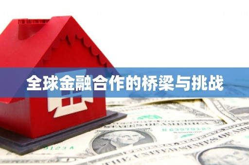 银海全球金融合作的桥梁与挑战