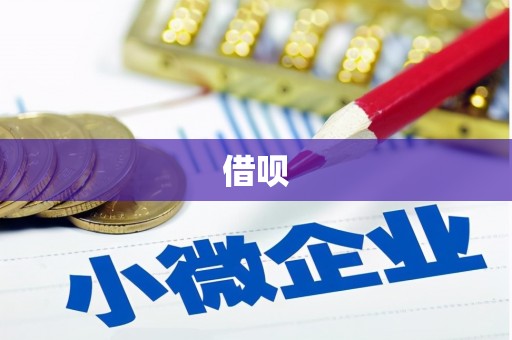 银海借呗