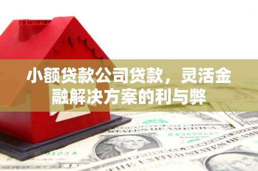 银海小额贷款公司贷款，灵活金融解决方案的利与弊