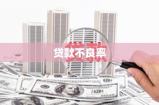 银海贷款不良率